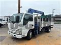 2013 Isuzu Elf Truck
