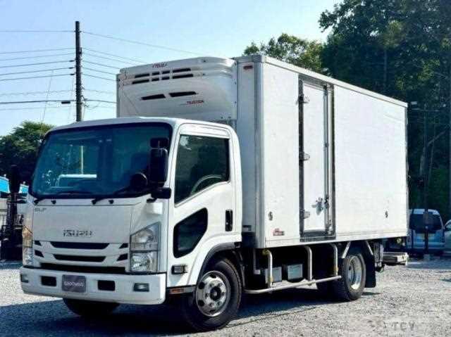2020 Isuzu Elf Truck