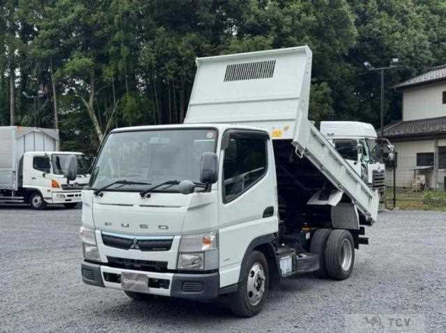 2019 Mitsubishi Fuso Canter
