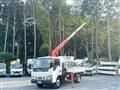 2006 Isuzu Elf Truck