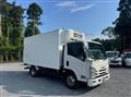 2020 Isuzu Elf Truck