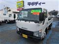 2019 Isuzu Elf Truck