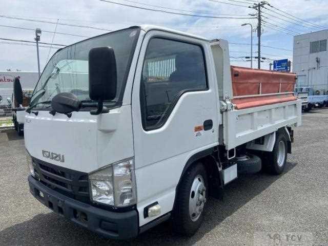 2019 Isuzu Elf Truck