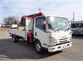 2018 Isuzu Elf Truck