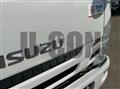 2019 Isuzu Elf Truck