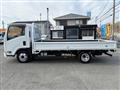 2019 Isuzu Elf Truck