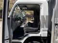 2018 Mitsubishi Fuso Canter