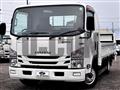 2019 Isuzu Elf Truck