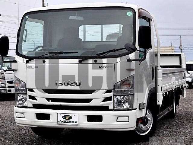 2019 Isuzu Elf Truck