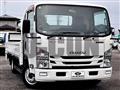 2019 Isuzu Elf Truck