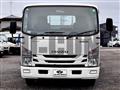 2019 Isuzu Elf Truck