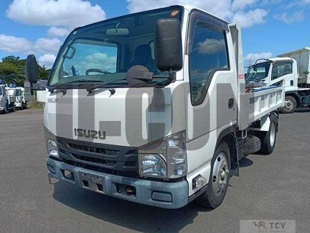 2018 Isuzu Elf Truck