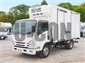 2019 Isuzu Elf Truck
