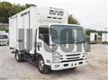 2019 Isuzu Elf Truck