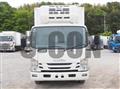 2019 Isuzu Elf Truck
