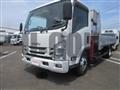 2019 Isuzu Elf Truck