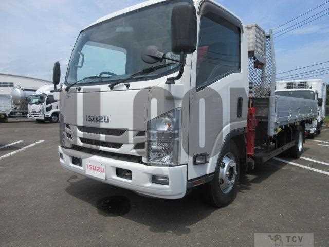 2019 Isuzu Elf Truck