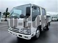 2017 Isuzu Elf Truck