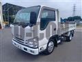 2020 Isuzu Elf Truck