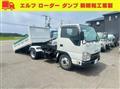 2017 Isuzu Elf Truck