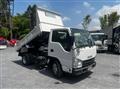 2019 Isuzu Elf Truck