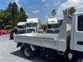 2019 Isuzu Elf Truck