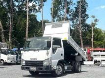 2019 Isuzu Elf Truck