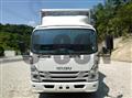 2023 Isuzu Elf Truck