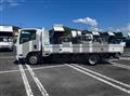2018 Isuzu Elf Truck