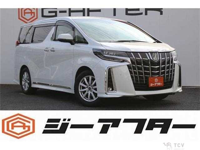 2019 Toyota Alphard G