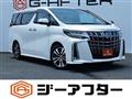 2021 Toyota Alphard G