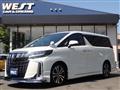 2022 Toyota Alphard G