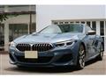 2019 BMW 8 Series