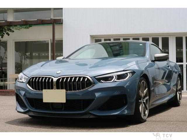 2019 BMW 8 Series
