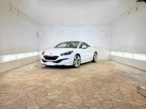 2015 Peugeot Peugoet Others