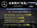 2020 Mercedes-Benz Mercedes-Benz Others