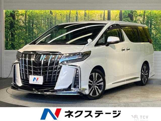 2019 Toyota Alphard G