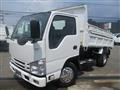 2020 Isuzu Elf Truck