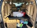 2009 Toyota Alphard G