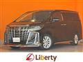 2019 Toyota Alphard G