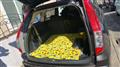2007 Honda Stream