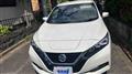 2018 Nissan Leaf