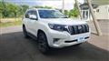 2019 Toyota Land Cruiser Prado