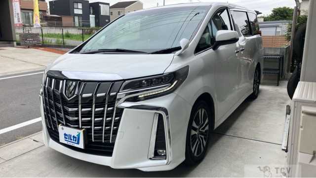 2022 Toyota Alphard G