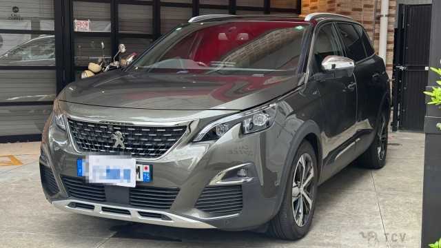 2019 Peugeot Peugoet Others