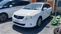 2009 Toyota Corolla Fielder