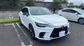 2025 Lexus RX