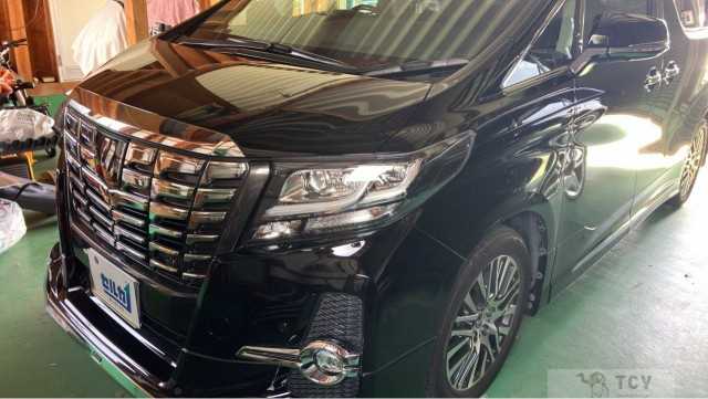 2015 Toyota Alphard G