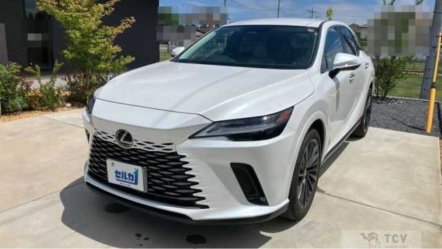 2024 Lexus RX