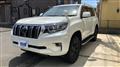2019 Toyota Land Cruiser Prado